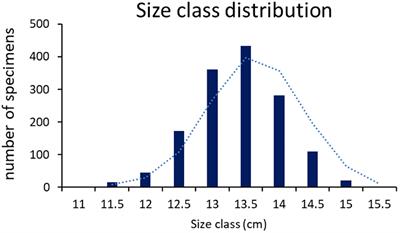 One year study on the reproductive biology, ovary characterization and age of the European sardine (Sardina pilchardus) in the middle-west Adriatic Sea